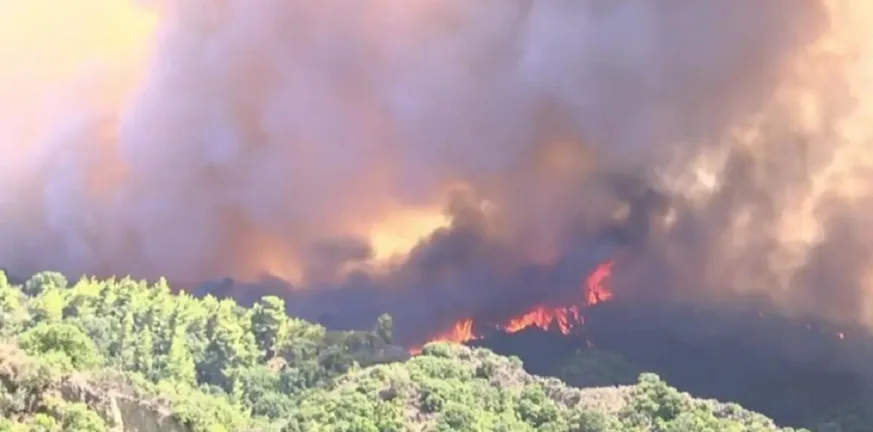Στη φυλακή 45χρονη για εμπρησμούς στη Λαυρεωτική - Κάθειρξη 8 ετών Στη φυλακή 45χρονη για εμπρησμούς στη Λαυρεωτική - Κάθειρξη 8 ετών