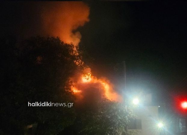 Πυρκαγιά σε βιομηχανία κηροπλαστικής στη Νικήτη Χαλκιδικής Πυρκαγιά σε βιομηχανία κηροπλαστικής στη Νικήτη Χαλκιδικής