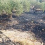 Πυρκαγιά σε υπολείμματα καλλιεργειών στο χωριό Κορφές Ηρακλείου Κρήτης