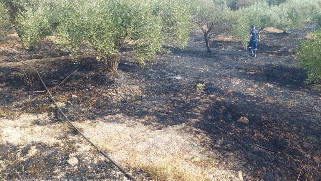 Πυρκαγιά σε υπολείμματα καλλιεργειών στο χωριό Κορφές Ηρακλείου Κρήτης