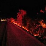 Άμεσα τέθηκε υπό έλεγχο η πυρκαγιά στους Κάτω Καρυώτες Σαμοθράκης