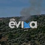 Άμεσα τέθηκε υπό έλεγχο η πυρκαγιά σε αγροτοδασική έκταση στην Κύμη Ευβοίας