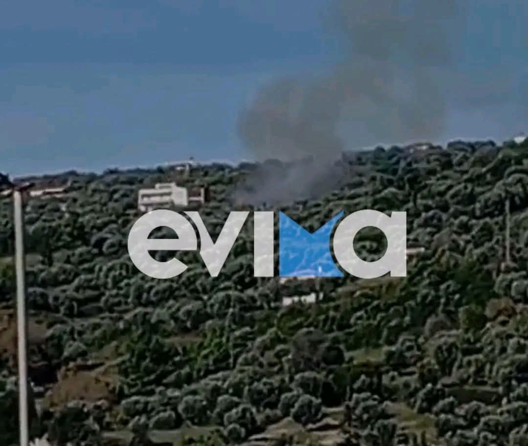 Άμεσα τέθηκε υπό έλεγχο η πυρκαγιά σε αγροτοδασική έκταση στην Κύμη Ευβοίας Άμεσα τέθηκε υπό έλεγχο η πυρκαγιά σε αγροτοδασική έκταση στην Κύμη Ευβοίας