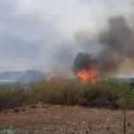 Πυρκαγιά σε καλαμιές στην περιοχή Κουντούρα Χανίων