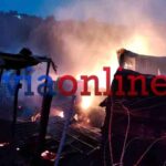 Πυρκαγιά σε μαντρί με ζώα στην περιοχή των Ροβιών στην Εύβοια