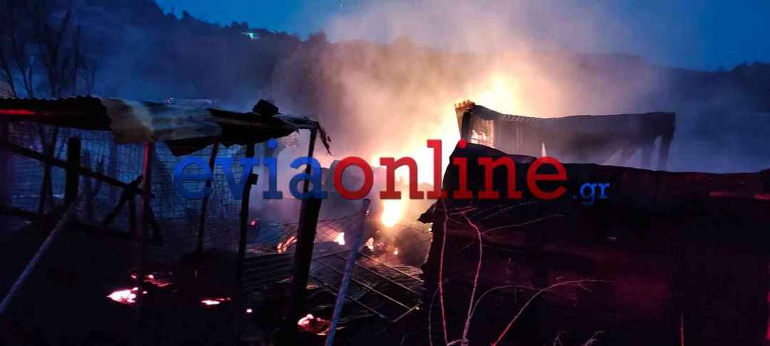 Πυρκαγιά σε μαντρί με ζώα στην περιοχή των Ροβιών στην Εύβοια Πυρκαγιά σε μαντρί με ζώα στην περιοχή των Ροβιών στην Εύβοια