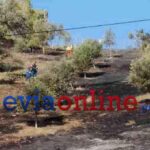 Άνδρας εντοπίστηκε χωρίς αισθήσεις σε πυρκαγιά γεωργικής έκτασης στην Ευβοία