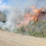 Πυρκαγιά σε καλαμιές δίπλα στον Ε65 κοντά στη Λαμία