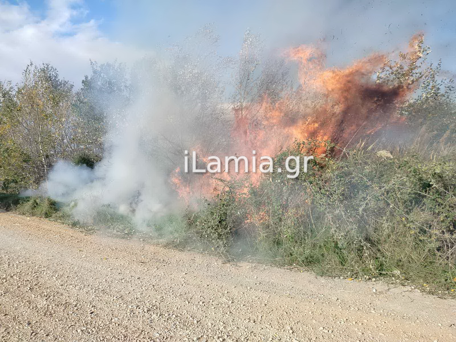Πυρκαγιά σε καλαμιές δίπλα στον Ε65 κοντά στη Λαμία