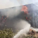 Πυρκαγιά σε κτηνοτροφική μονάδα στους Γοργοβίτες Καρδίτσας – Κάηκαν περίπου 250 πρόβατα