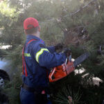 Θυελλώδεις άνεμοι στην Κεντρική Μακεδονία: 600 κλήσεις δέχθηκε η Πυροσβεστική σε μία ημέρα