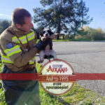 Μεσολόγγι: Η Πυροσβεστική έσωσε εγκαταλελειμμένα κουτάβια από αυλάκι