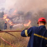 Πυρκαγιά σε χαμηλή βλάστηση στο Γουλέμι Φθιώτιδας