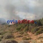 Άμεσα τέθηκε υπό έλεγχο πυρκαγιά σε χαμηλή βλάστηση στην περιοχή Πρινιάς στην Εύβοια