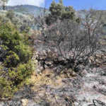 Άμεσα τέθηκε υπό έλεγχο η πυρκαγιά σε δασική περιοχή στη Μαμουλάδα Ναυπακτίας