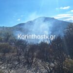 Πυρκαγιά σε δασική έκταση στο Σουληνάρι Κορινθίας