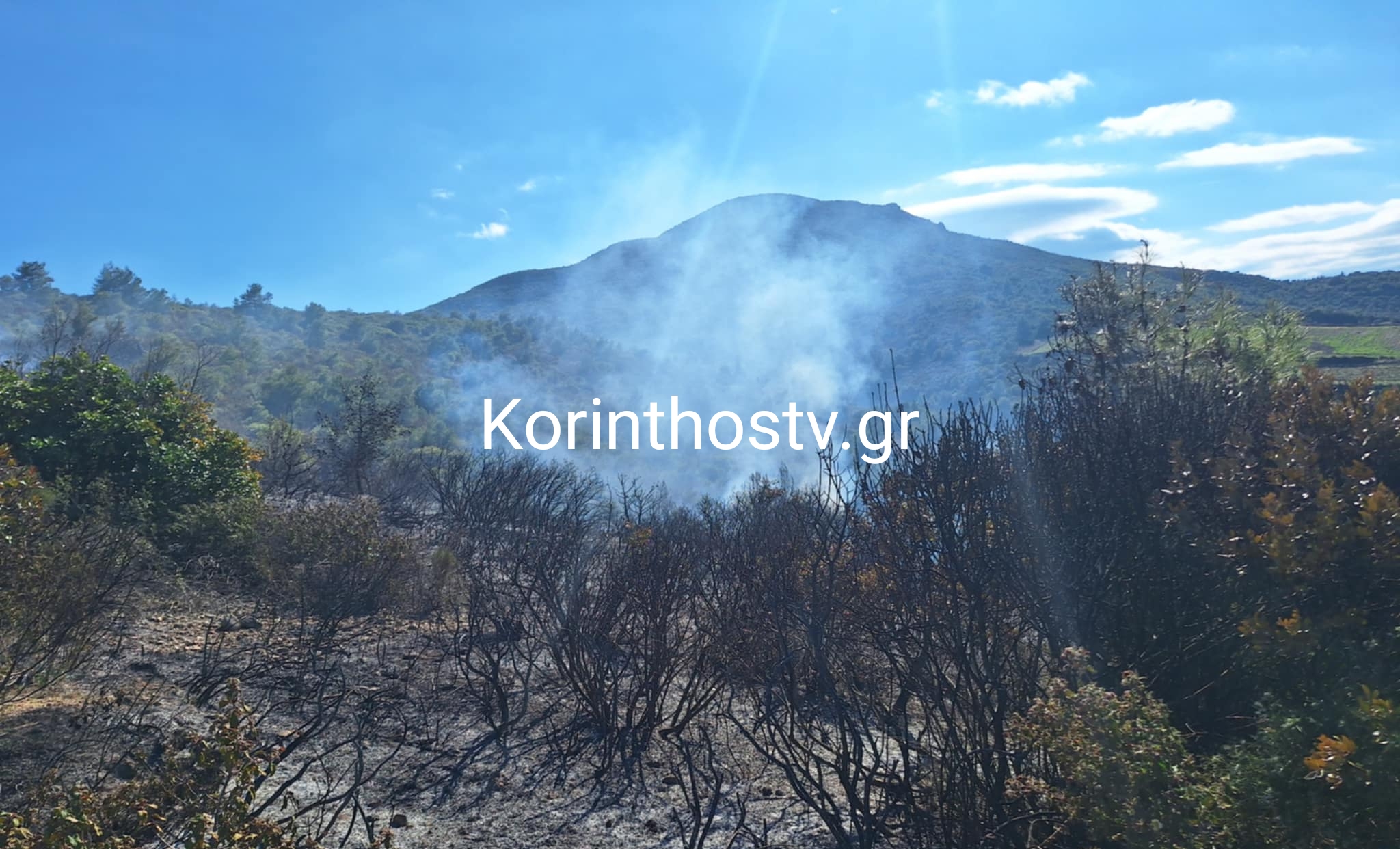 Πυρκαγιά σε δασική έκταση στο Σουληνάρι Κορινθίας Πυρκαγιά σε δασική έκταση στο Σουληνάρι Κορινθίας