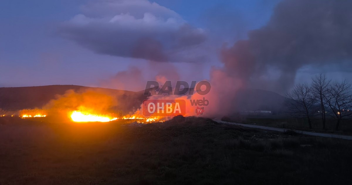 Πυρκαγιά σε χαμηλή βλάστηση στις Πηγές Μαυρονερίου στη Λιβαδειά Βοιωτίας