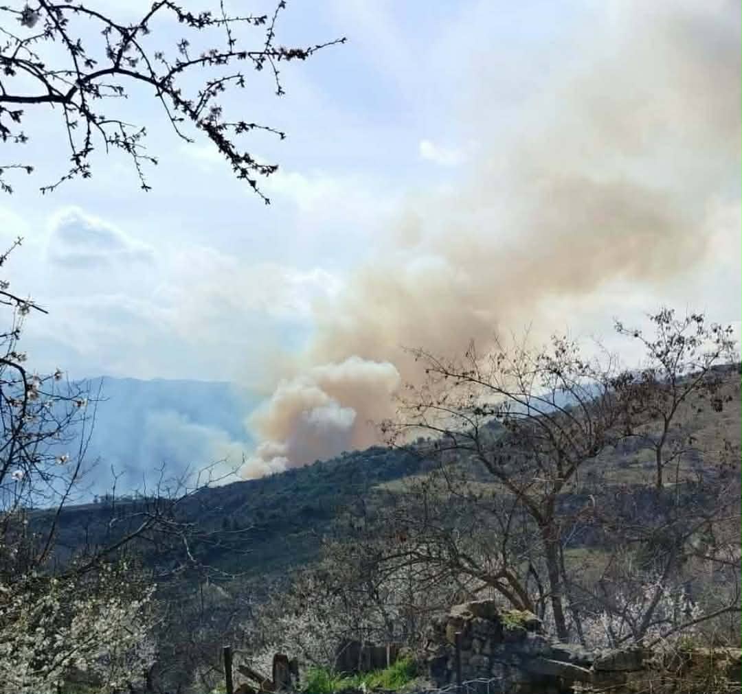 Πυρκαγιά σε δασική έκταση στα Σοφιανά Κορινθίας