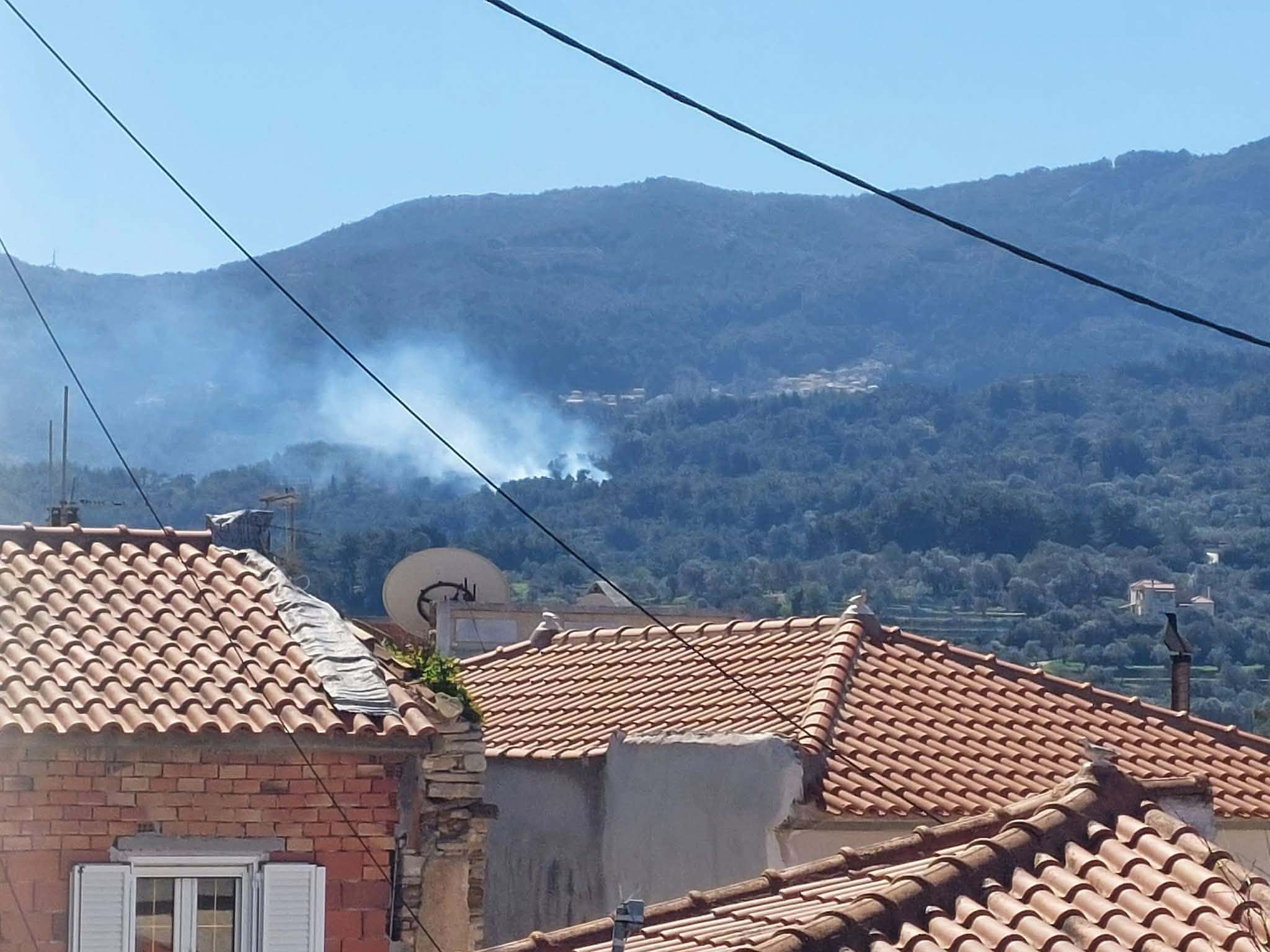 Υπό έλεγχο τέθηκε πυρκαγιά σε δασική έκταση στην Καστανιά Σάμου