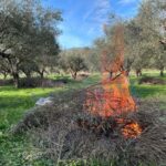 Πρόστιμα για παραβάσεις πυροπροστασίας σε Μαγνησία, Ρόδο, Ηλεία και Χαλκιδική