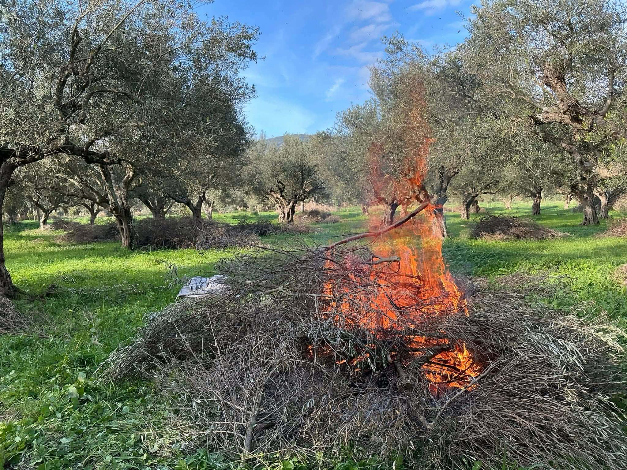 Πρόστιμα για παραβάσεις πυροπροστασίας σε Μαγνησία, Ρόδο, Ηλεία και Χαλκιδική