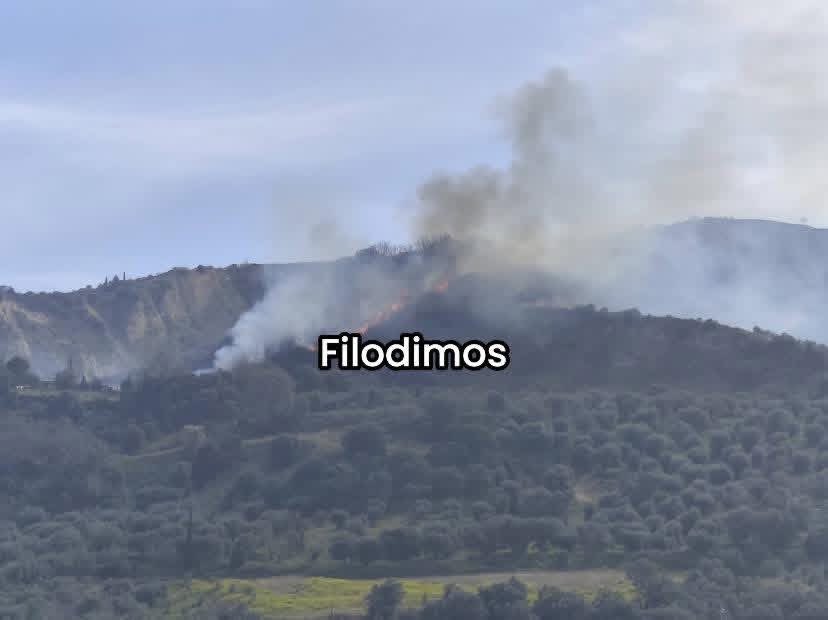 Πυρκαγιά σε αγροτοδασική έκταση στην Αρραβωνίτσα Αχαΐας