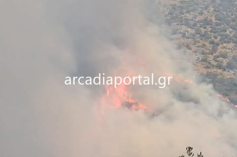 Πυρκαγιά σε χαμηλή βλάστηση στο Πλάτωμα Αρκαδίας