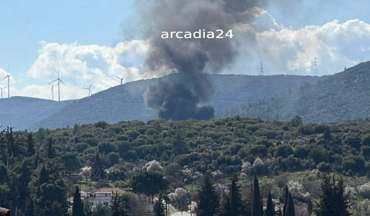 Πυρκαγιά σε χαμηλή βλάστηση στο Πλάτωμα Αρκαδίας