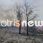 Άμεσα τέθηκε υπό μερικό έλεγχο πυρκαγιά σε χαμηλή βλάστηση στη Βάλμη Ηλείας