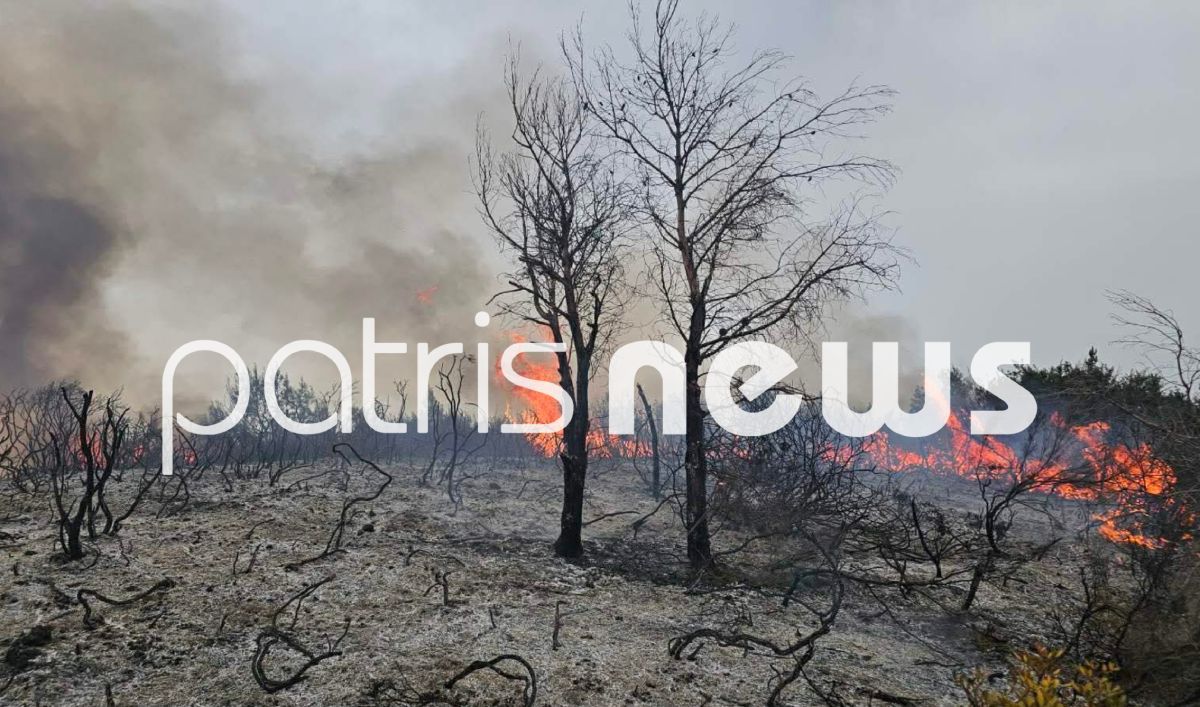 Άμεσα τέθηκε υπό μερικό έλεγχο πυρκαγιά σε χαμηλή βλάστηση στη Βάλμη Ηλείας