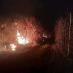 Πρόστιμα για παραβάσεις μέτρων πυροπροστασίας σε Πάρο, Φθιώτιδα και Ρόδο