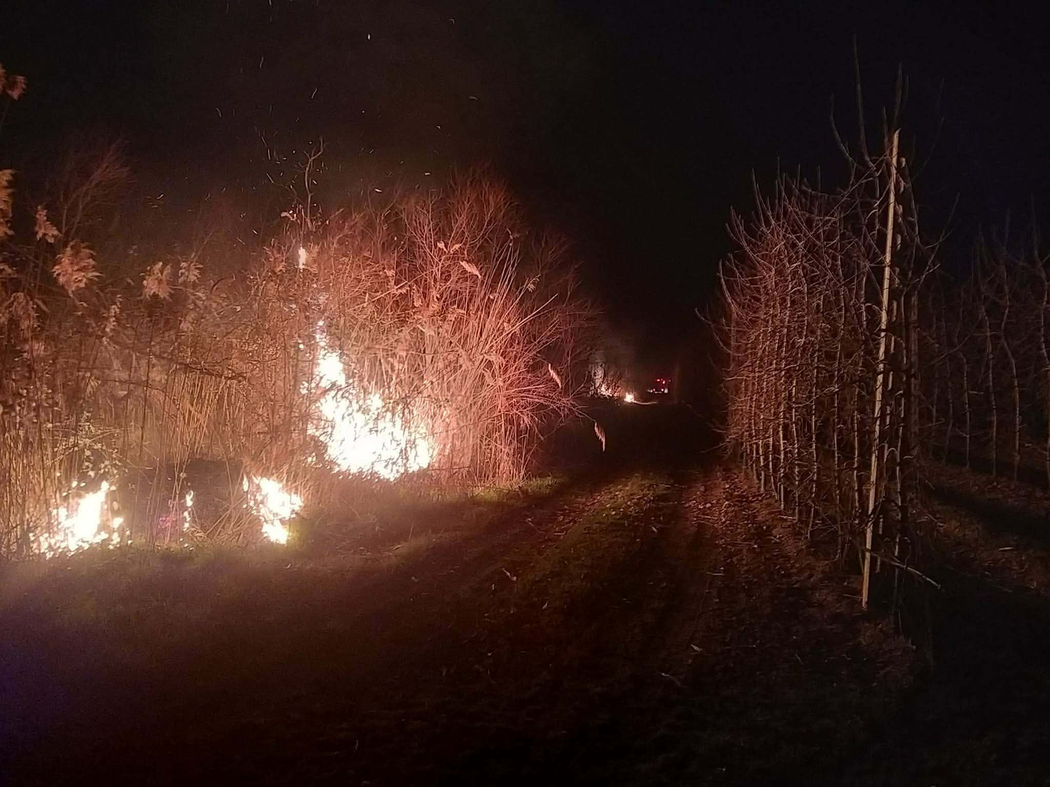 Πρόστιμα για παραβάσεις μέτρων πυροπροστασίας σε Πάρο, Φθιώτιδα και Ρόδο