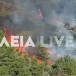 Πυρκαγιά σε δασική έκταση στον Ελαιώνα Πύργου Ηλείας