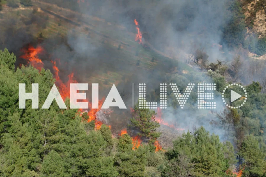 Πυρκαγιά σε δασική έκταση στα Βυτιναίικα Πύργου Ηλείας