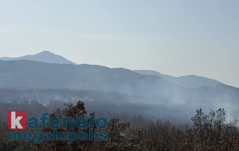 Πυρκαγιά σε χαμηλή βλάστηση ανάμεσα σε Ρούτσι και Βουτσαρά Μεγαλόπολης