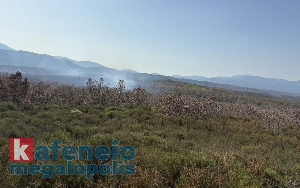 Πυρκαγιά σε χαμηλή βλάστηση ανάμεσα σε Ρούτσι και Βουτσαρά Μεγαλόπολης