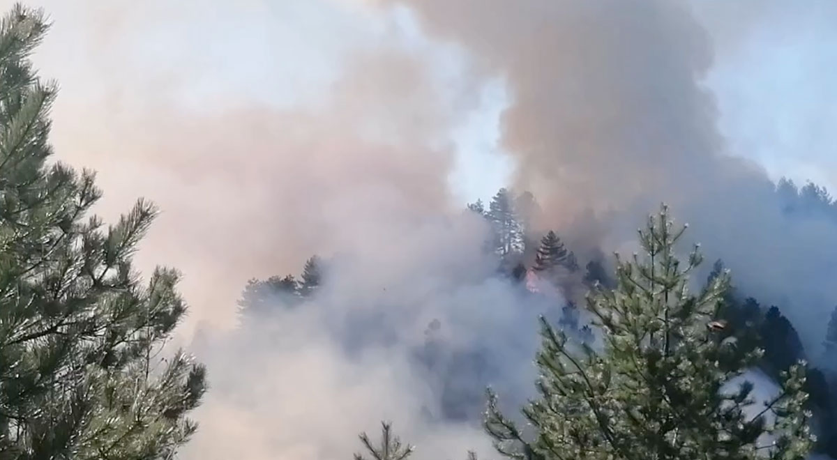 Πυρκαγιά σε δασική έκταση στο Πευκόφυτο Καστοριάς
