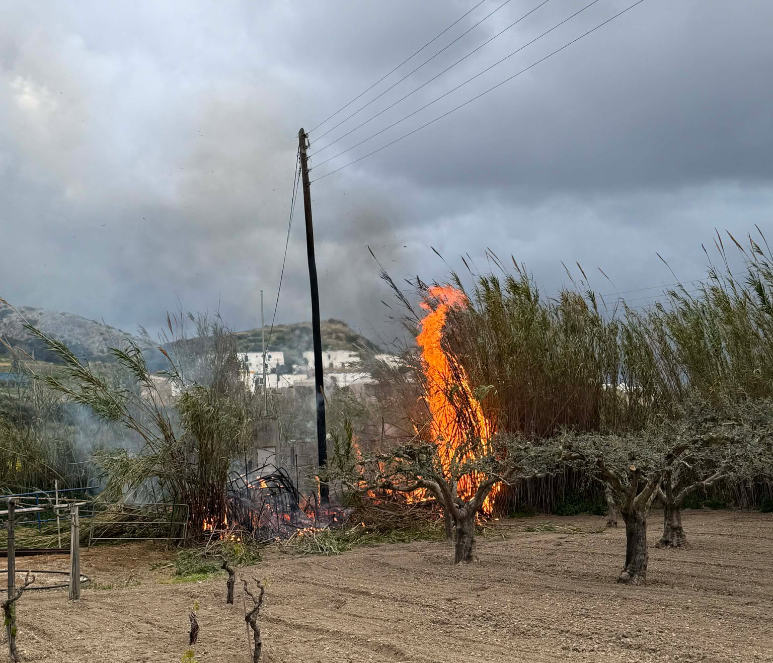 Άμεση κατάσβεση πυρκαγιάς σε οικόπεδο με καλαμιές στον Γαλησσά Σύρου