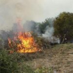 Συλλήψεις και πρόστιμα για πυρκαγιές σε Μάνη και Κορινθία