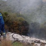 Άμεσα τέθηκε υπό έλεγχο πυρκαγιά σε δασική έκταση στην περιοχή Πιτσιναιίκα Ναυπακτίας
