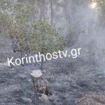 Πυρκαγιά σε χαμηλή βλάστηση στις Κεχριές Κορινθίας