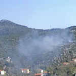 Πυρκαγιά σε γεωργική έκταση στην περιοχή Κρεμαστή Λακωνίας