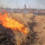 Πρόστιμα για παράνομες καύσεις σε Κω, Φθιώτιδα και Κοζάνη