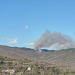 Πυρκαγιά σε δασική έκταση στην περιοχή Βαρβίτσα Λακωνίας