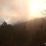 Πυρκαγιά σε δασική έκταση στην περιοχή Καρυές Λακωνίας