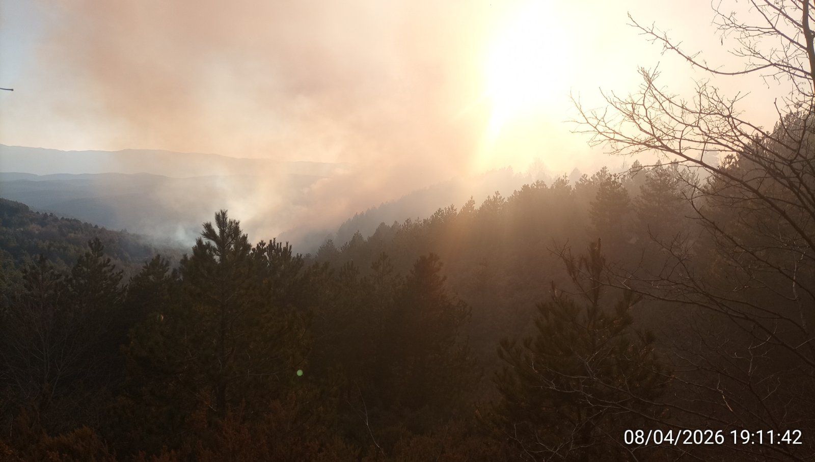 Πυρκαγιά σε δασική έκταση στην περιοχή Καρυές Λακωνίας