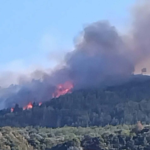 Πυρκαγιά σε δασική έκταση στην περιοχή Άμπελος Αχαΐας