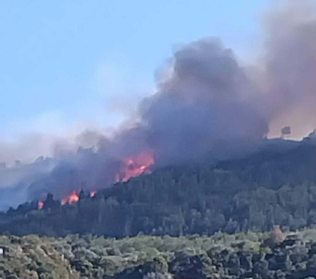 Πυρκαγιά σε δασική έκταση στην περιοχή Άμπελος Αχαΐας