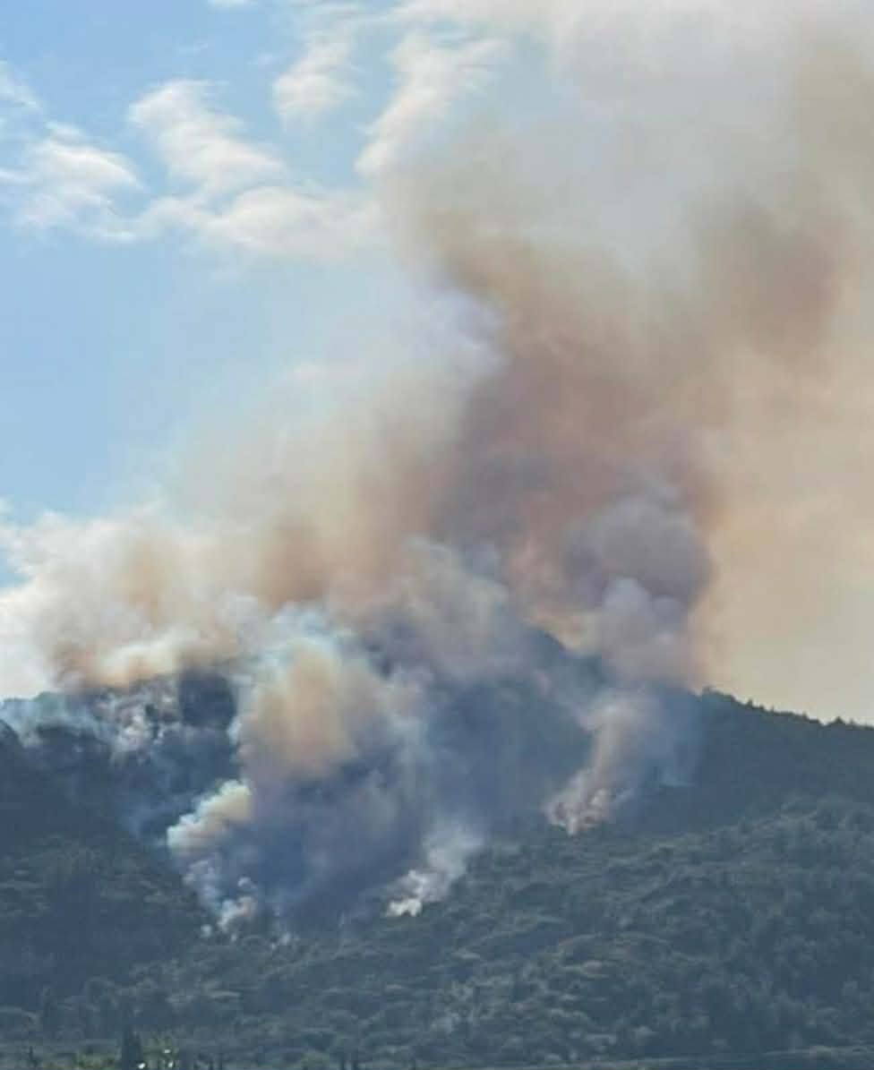 Πυρκαγιά σε δασική έκταση στην περιοχή Άμπελος Αχαΐας
